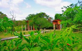 Sigiri Royal Point Tree House
